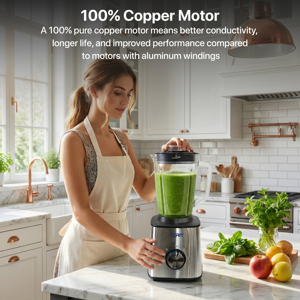 Stainless Steel 2 in 1 Blender 600W