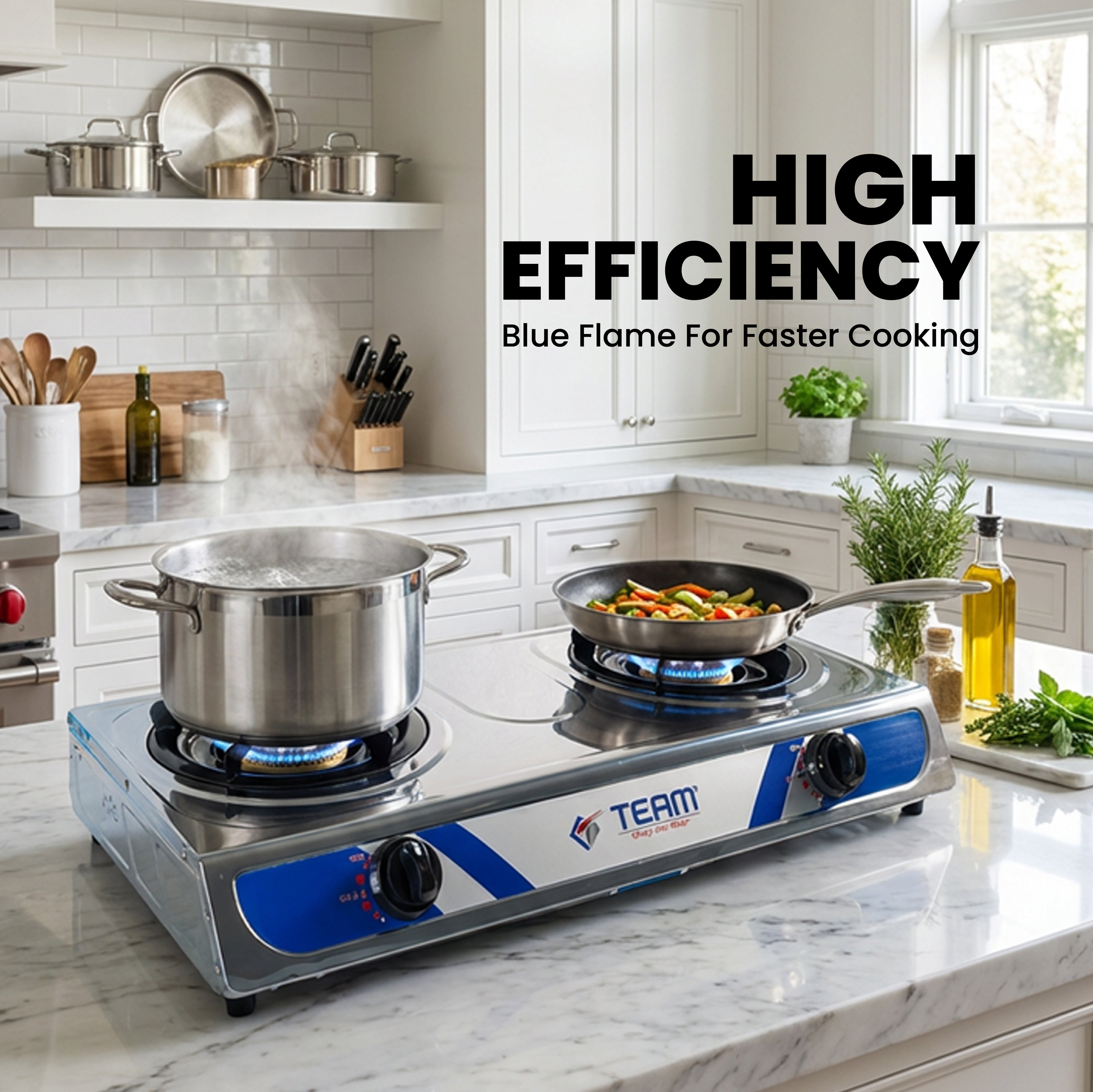 Staineless Steel 2-Burner Stove