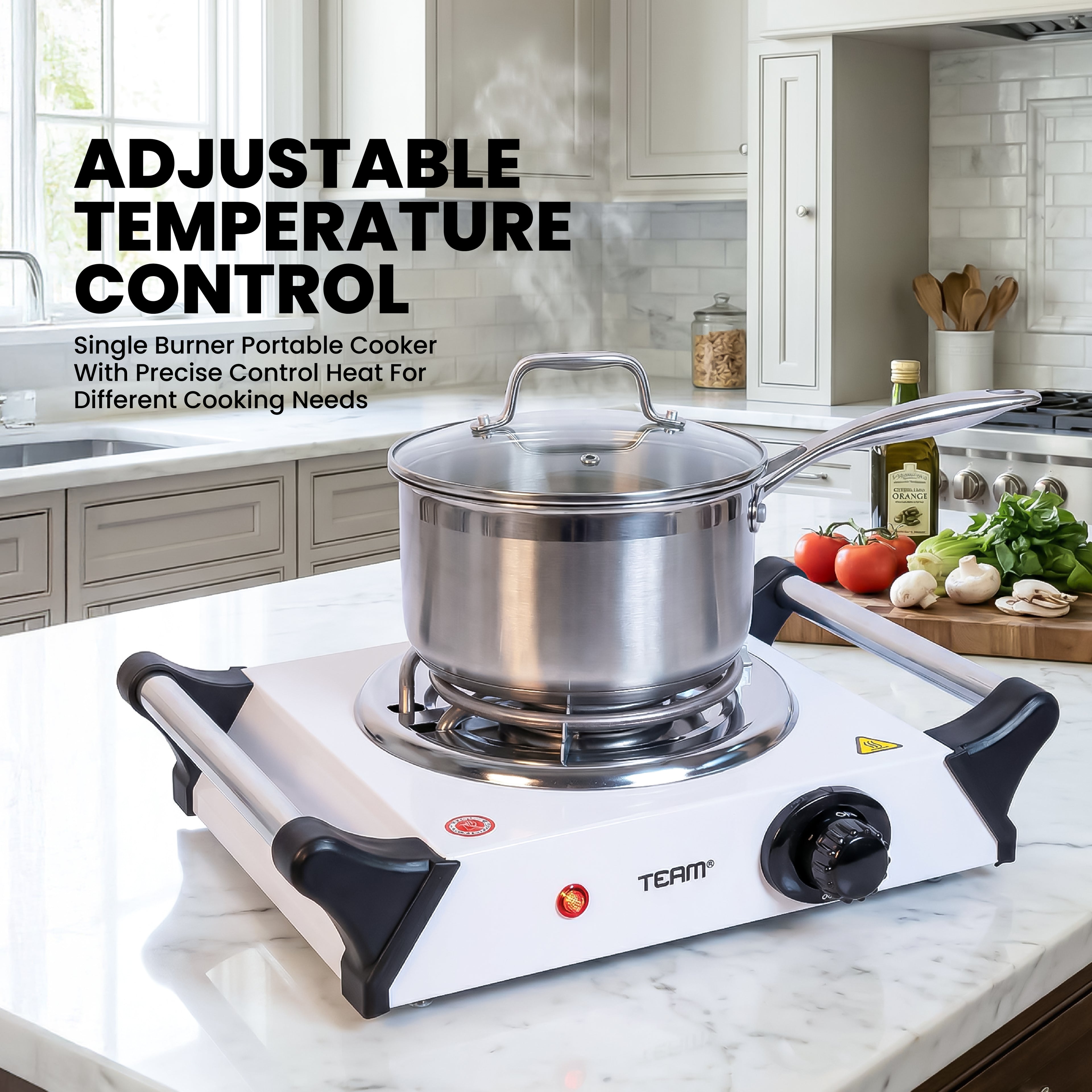 Single Hot Plate Spiral 1000W